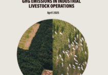 Unsustainable Investment: International Finance Corporation’s Failures To Address GHG Emissions In Industrial Livestock Operations